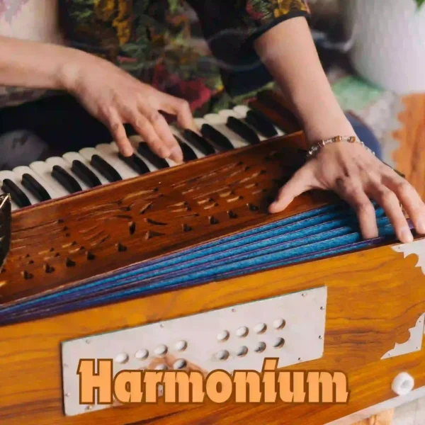 Learn Hindustani classical music through live online harmonium classes with experienced instructors.