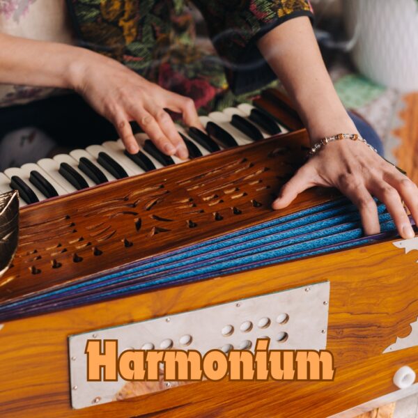 Indian Lady playing harmonium