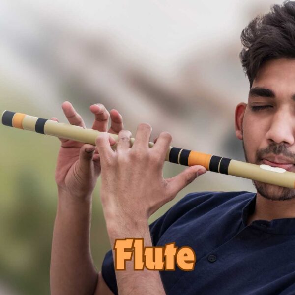 Live online flute classes to learn Indian classical and contemporary flute playing techniques.