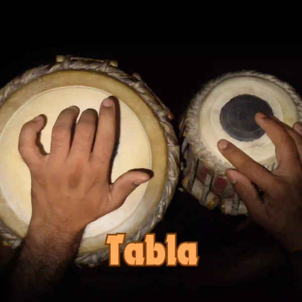 Learn Indian percussion instrument Tabla through live online classes for all levels, from beginner to advanced.