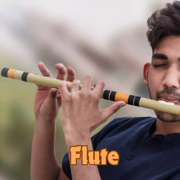 Live online flute classes to learn Indian classical and contemporary flute playing techniques.